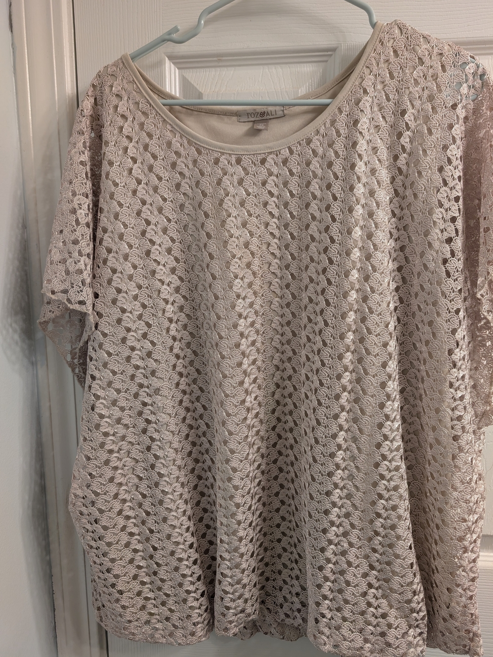 Roz & Ali Lace Overlay Short Sleeve Top - Cream